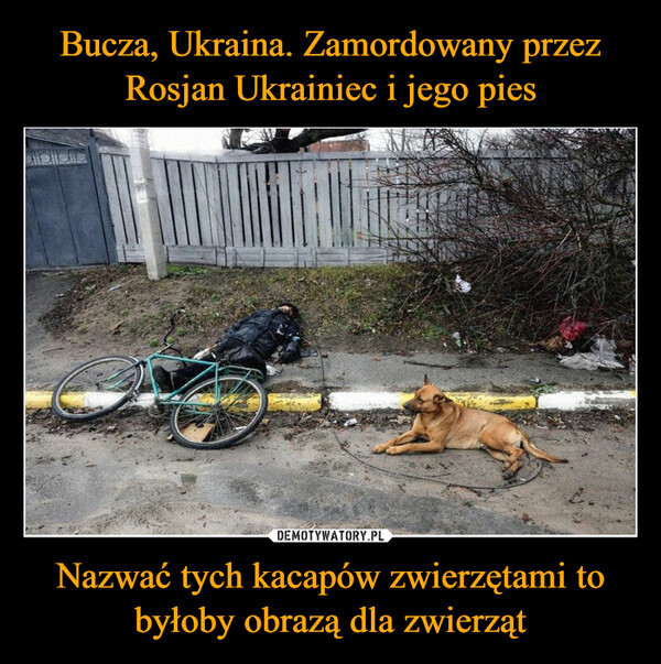 Bucza, Ukraina. Zamordowany przez Rosjan Ukrainiec i jego pies Nazwać tych kacapów zwierzętami to byłoby obrazą dla zwierząt