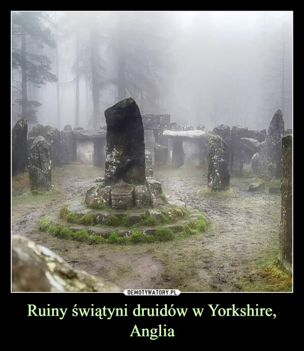 Ruiny świątyni druidów w Yorkshire, Anglia –  