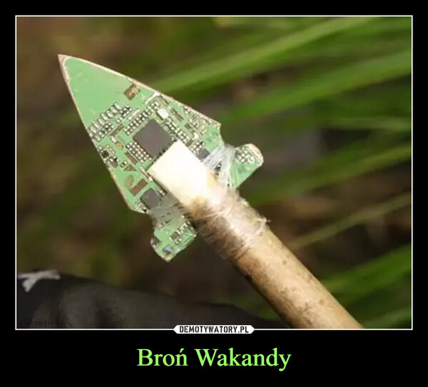 Broń Wakandy –  