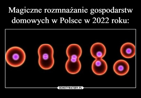 Magiczne rozmnażanie gospodarstw domowych w Polsce w 2022 roku: