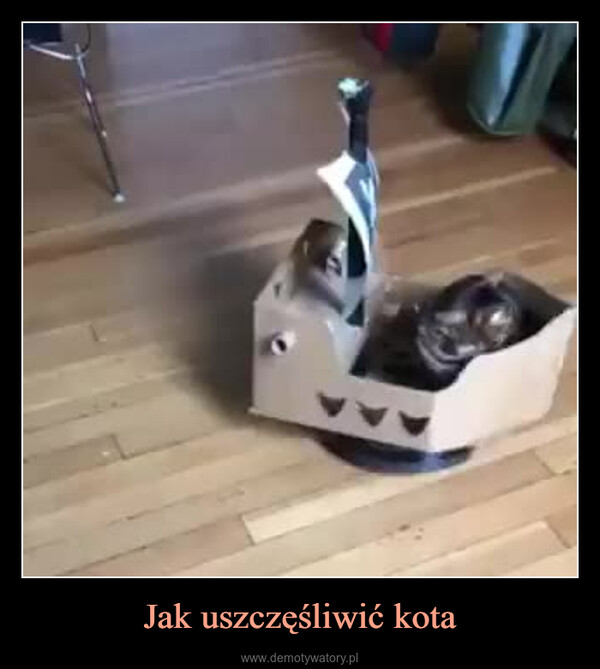 Jak uszczęśliwić kota –  