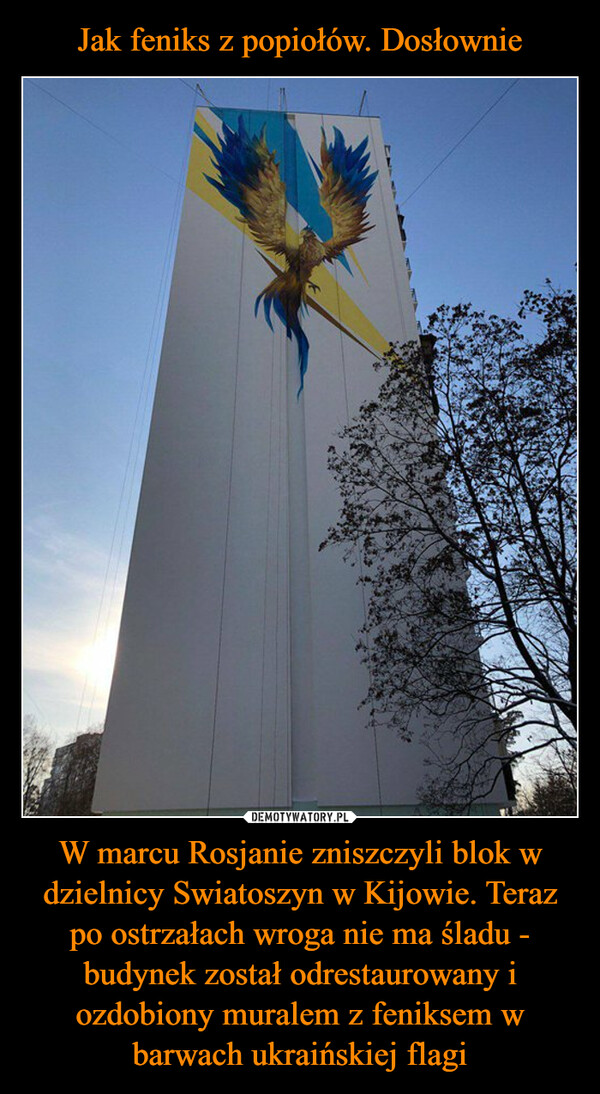 Jak feniks z popiołów. Dosłownie W marcu Rosjanie zniszczyli blok w dzielnicy Swiatoszyn w Kijowie. Teraz po ostrzałach wroga nie ma śladu - budynek został odrestaurowany i ozdobiony muralem z feniksem w barwach ukraińskiej flagi