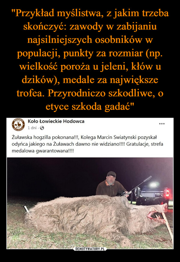  –  Zuławska hogzilla pokonana!, Kolega Marcin Swiatynski pozyskałodyńca jakiego na Żuławach dawno nie widziano!! Gratulacje, strefamedalowa gwarantowana!