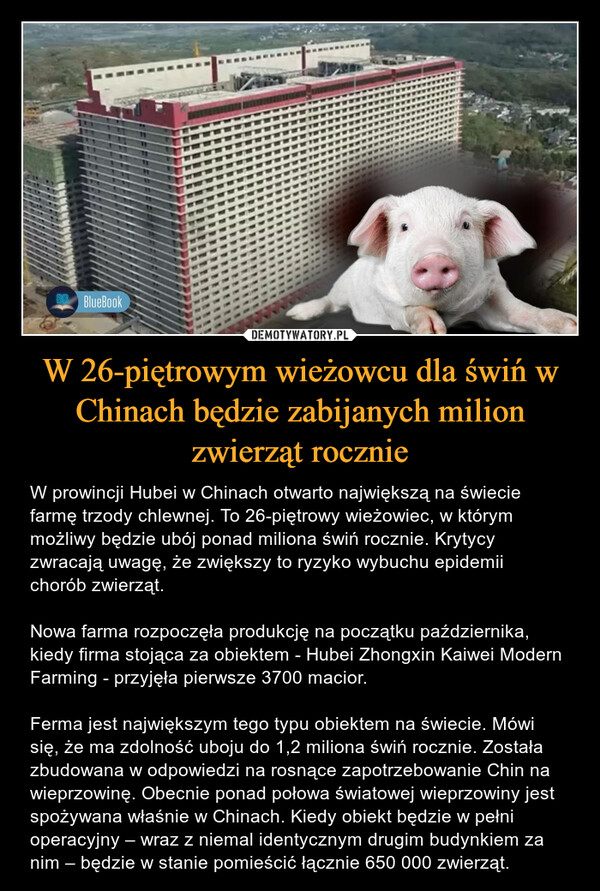 W 26-piętrowym wieżowcu dla świń w Chinach będzie zabijanych milion zwierząt rocznie