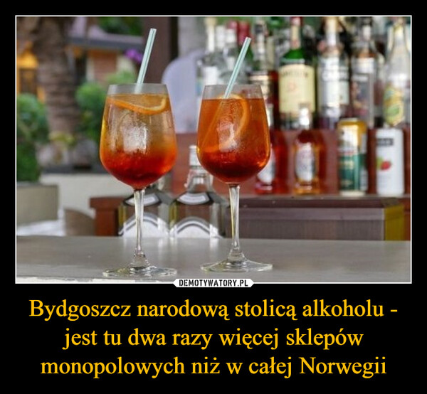 Bydgoszcz narodową stolicą alkoholu - jest tu dwa razy więcej sklepów monopolowych niż w całej Norwegii