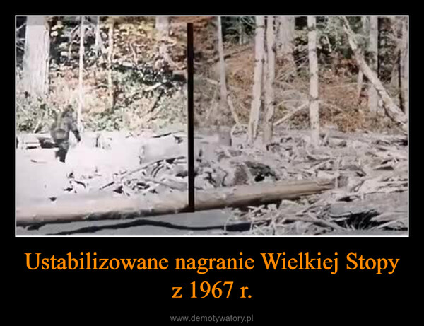 Ustabilizowane nagranie Wielkiej Stopy z 1967 r. –  