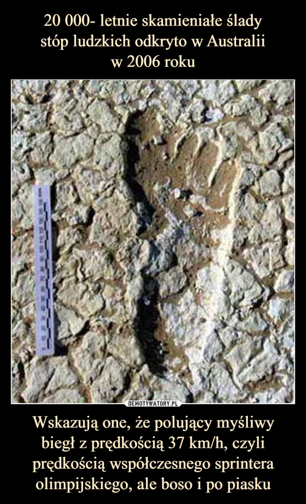 20 000- letnie skamieniałe ślady
stóp ludzkich odkryto w Australii
w 2006 roku Wskazują one, że polujący myśliwy biegł z prędkością 37 km/h, czyli prędkością współczesnego sprintera olimpijskiego, ale boso i po piasku