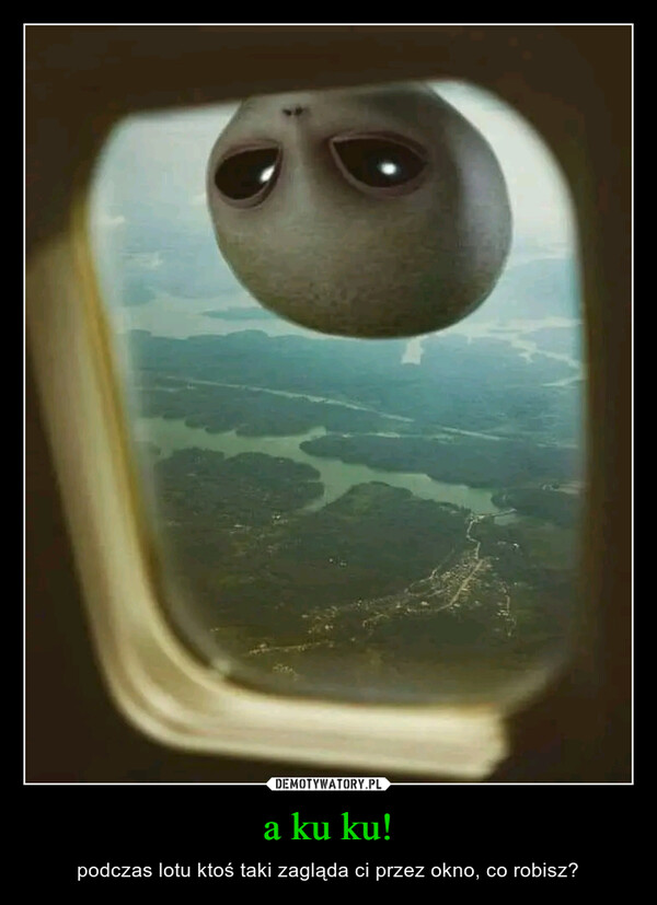 a ku ku! – podczas lotu ktoś taki zagląda ci przez okno, co robisz? 