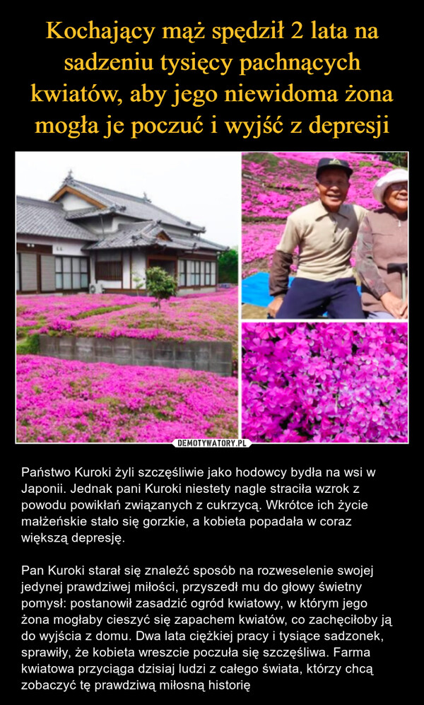  – Państwo Kuroki żyli szczęśliwie jako hodowcy bydła na wsi w Japonii. Jednak pani Kuroki niestety nagle straciła wzrok z powodu powikłań związanych z cukrzycą. Wkrótce ich życie małżeńskie stało się gorzkie, a kobieta popadała w coraz większą depresję.Pan Kuroki starał się znaleźć sposób na rozweselenie swojej jedynej prawdziwej miłości, przyszedł mu do głowy świetny pomysł: postanowił zasadzić ogród kwiatowy, w którym jego żona mogłaby cieszyć się zapachem kwiatów, co zachęciłoby ją do wyjścia z domu. Dwa lata ciężkiej pracy i tysiące sadzonek, sprawiły, że kobieta wreszcie poczuła się szczęśliwa. Farma kwiatowa przyciąga dzisiaj ludzi z całego świata, którzy chcą zobaczyć tę prawdziwą miłosną historię 