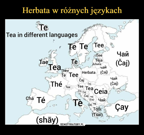 Herbata w różnych językach