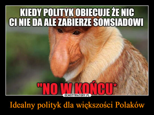 Idealny polityk dla większości Polaków –  KIEDY POLITYK OBIECUJE ŻE NICCI NIE DA ALE ZABIERZE SOMSIADOWI"NO W KOŃCU