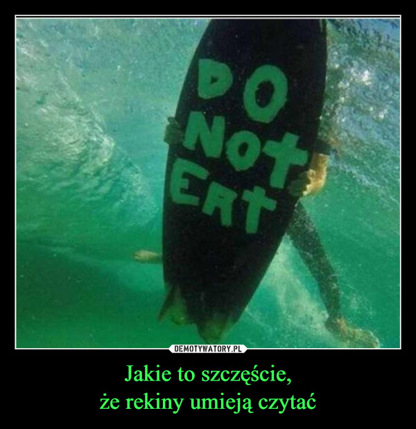 Jakie to szczęście,że rekiny umieją czytać –  DONotEnt