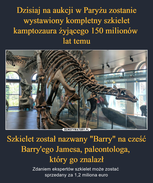 Szkielet został nazwany "Barry" na cześć Barry'ego Jamesa, paleontologa, który go znalazł – Zdaniem ekspertów szkielet może zostać sprzedany za 1,2 miliona euro PH000.0
