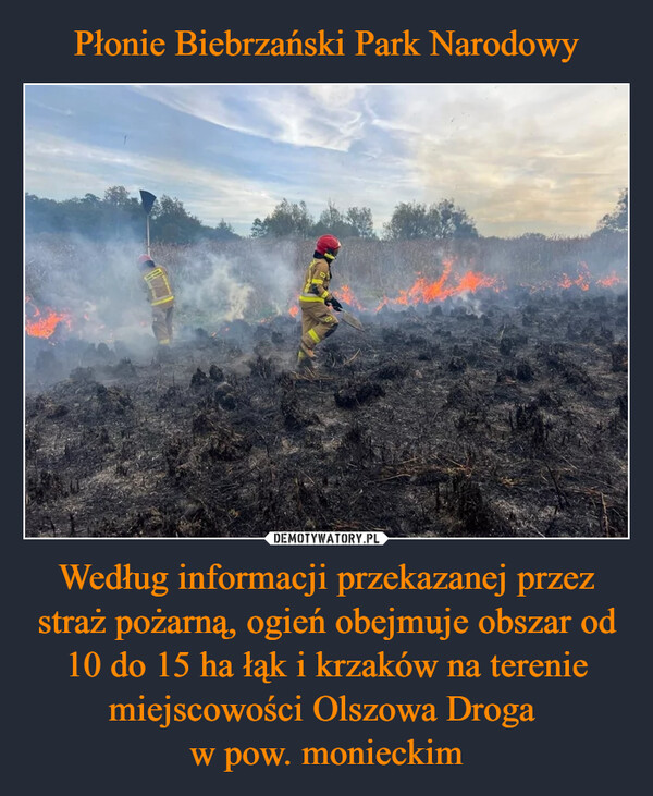 Płonie Biebrzański Park Narodowy Według informacji przekazanej przez straż pożarną, ogień obejmuje obszar od 10 do 15 ha łąk i krzaków na terenie miejscowości Olszowa Droga 
w pow. monieckim