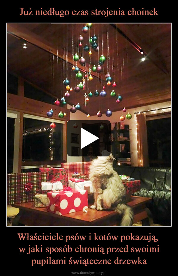 Właściciele psów i kotów pokazują, w jaki sposób chronią przed swoimi pupilami świąteczne drzewka –  11
