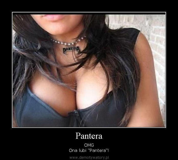 Pantera – OMG Ona lubi ''Pantera''! 